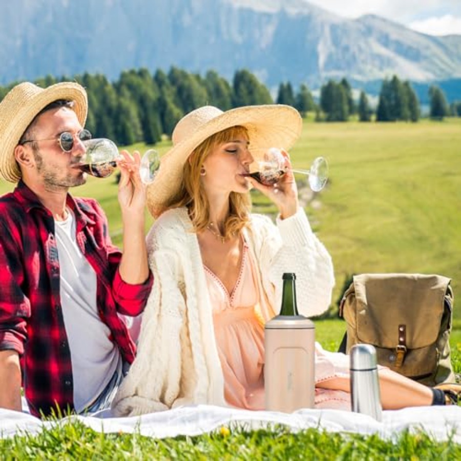 Wine Chillers for Bottles-Idea - Wine Chiller Sleeve 评论和价格