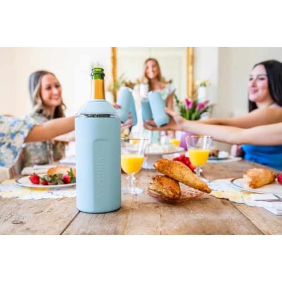 Wine Bottle Chiller- Portable  - Wine Chiller Sleeve 评论和价格