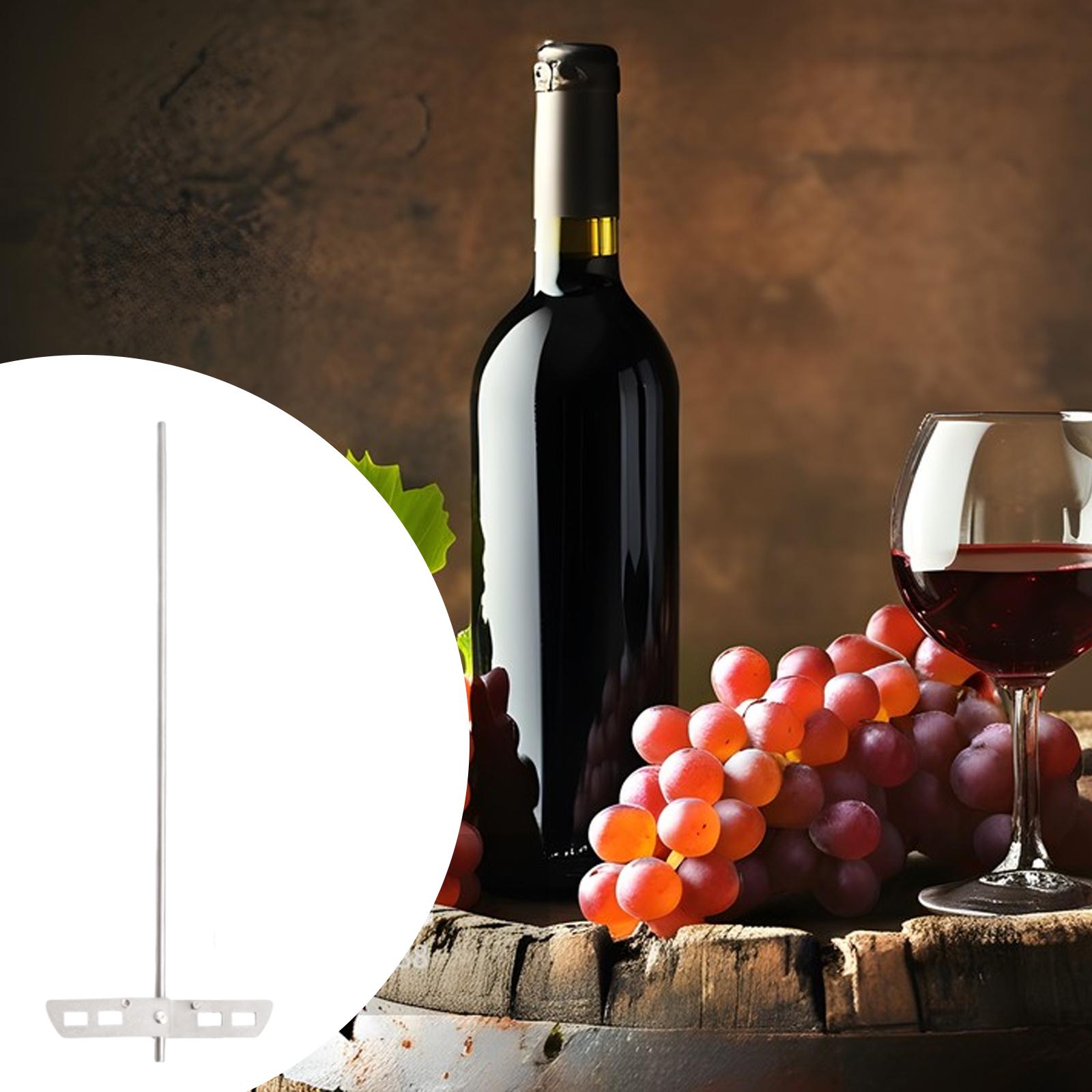 High Efficiency Degassing Whip - Wine Beer Mix 评论和价格
